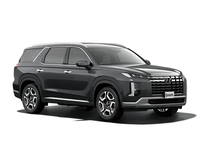 Hyundai Palisade Серый