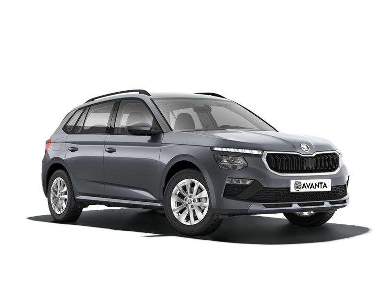 Skoda Kamiq Серый