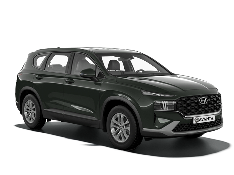 Hyundai Santa Fe Rain Forest
