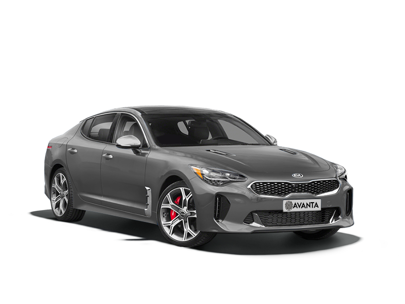 Kia Stinger Pantera Metal