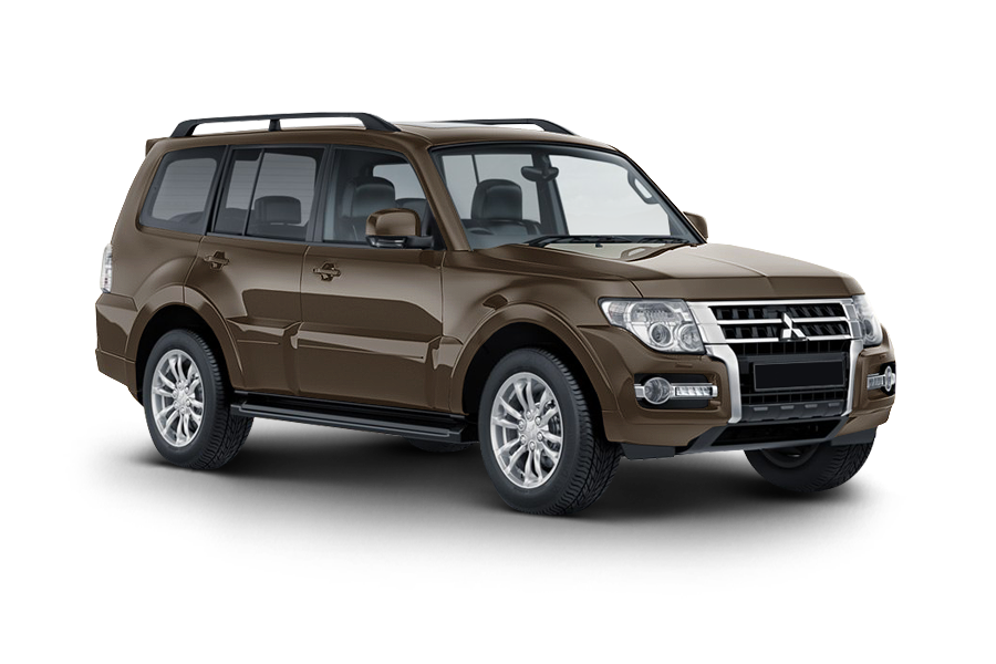 Mitsubishi Pajero Коричневый