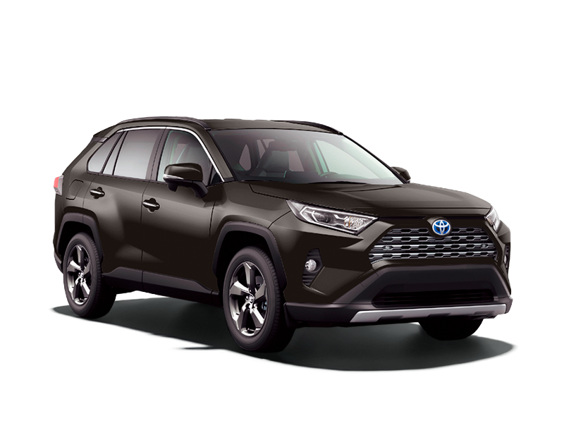 Toyota RAV4 Коричневый