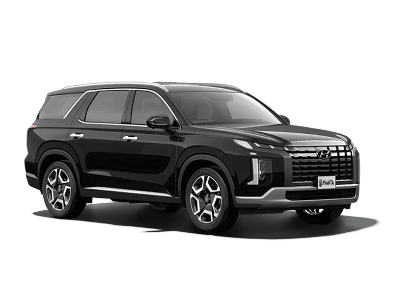 Hyundai Palisade Черный