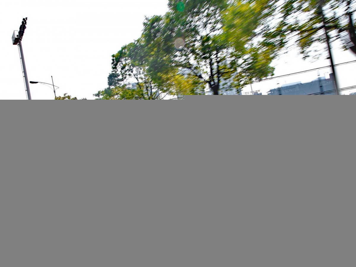 Dongfeng S30