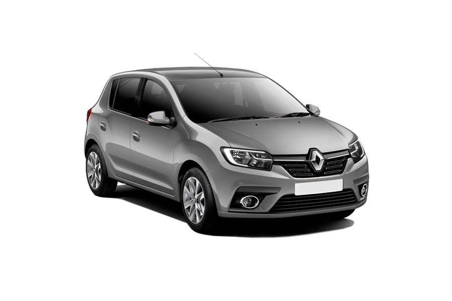 Renault Sandero Светлый базальт