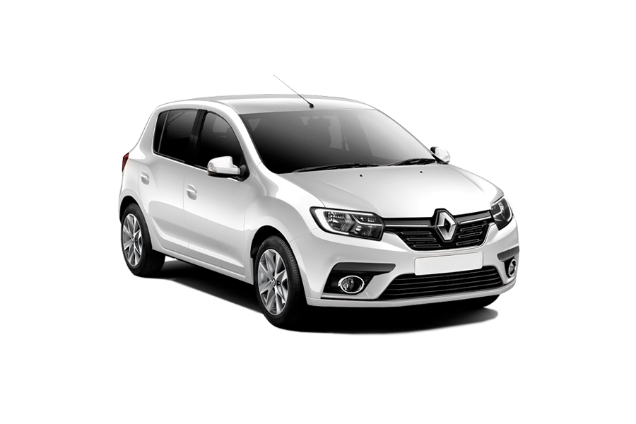 Renault Sandero Белый лед
