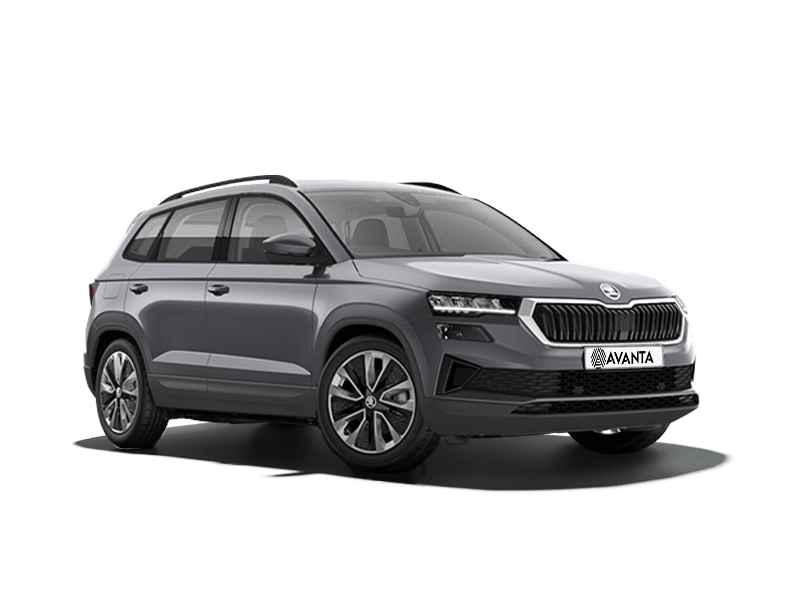 Skoda Karoq NEW Серый