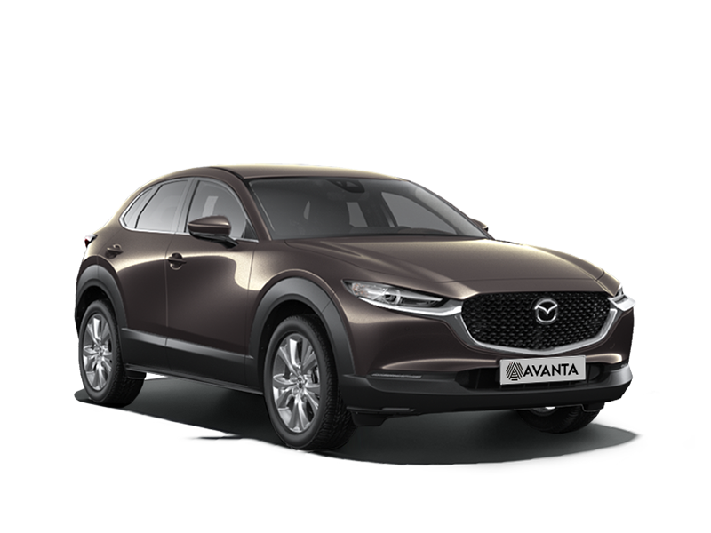 Mazda CX-30 Коричневый