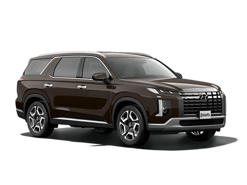 Hyundai Palisade Коричневый