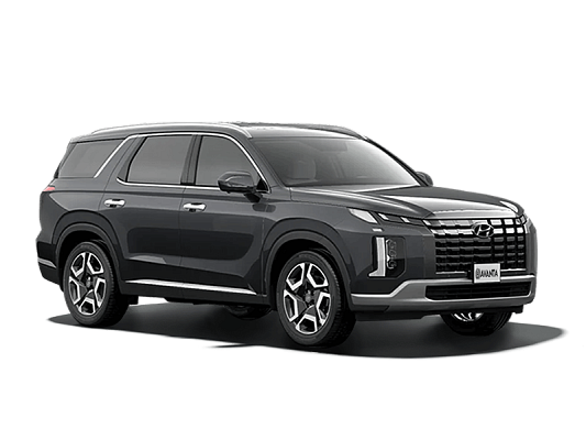 Hyundai Palisade Calligraphy 2.2 AT Grey